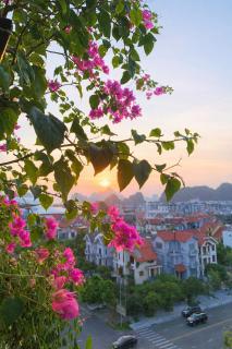 Candy Hotel Hạ Long - 4