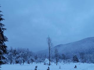 Casa de vacanță Mira - 8