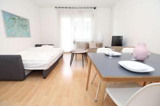 Airy Apartment Near Uetliberg Nature - 5