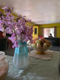 Nadarivatu Homestay Fiji - 1