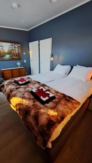 Arctic Giantlog Villa - 6