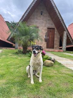 Chalés Flor do Caparaó em Patrimonio da Penha - 7
