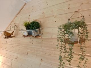 L'Hortillonne Amiens - Amiens - 3