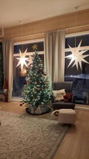 Arctic Giantlog Villa - 3