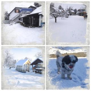 Kék Vándor Vendégház - 3