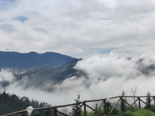 Cloudy Nandy Hills Poombarai - 6