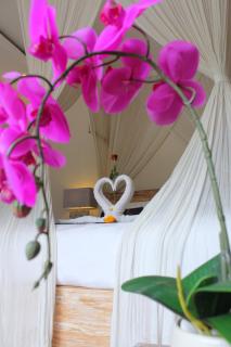 Villa D'Uma - Ubud - 5