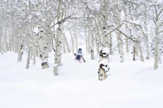 Renovated 2 BR Condo w Hot Tub -Mountain Views! - 6