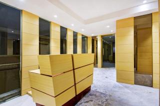 Collection O Snowfox - 0