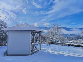EulenNest Seeboden am Millstätter See Ruhiges Ferienhaus mit Garten & Bergblick - Seeboden - 0