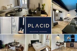 Les Halles 2 - Central - Lumineux - Spacieux - Fibre - 9