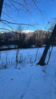 Baita Alpina di Pinot - 4