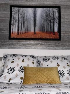 Chambre calme avec petit déjeuner - 6