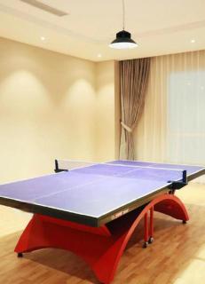 GreenTree Eastern Yancheng Binhai County Aobaolia Beichen Hotel - 5