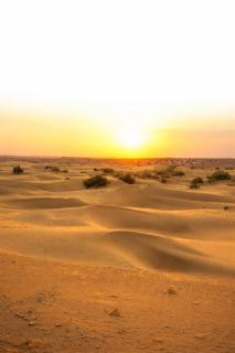 CAMP PREMIUM IN resort - 5