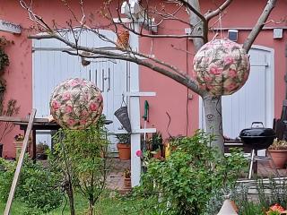 Erholung im Grünen und doch zentral - 3