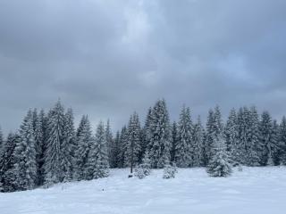 Cabana Dia Belis - 6