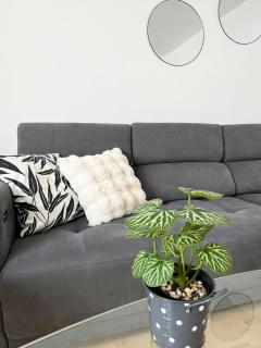 Central City apartment near Fuggerei - 3