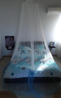 Casa de Vacanta Nufarul Crisan - 6