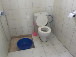 Peaceful Home Near Volcanoes National Park - 3