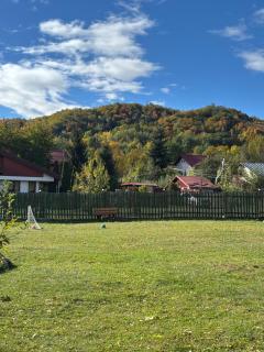 Villa Bravo Breaza - 7