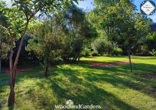 Woodland Gardens Self catering Pet Friendly Lodge - 1