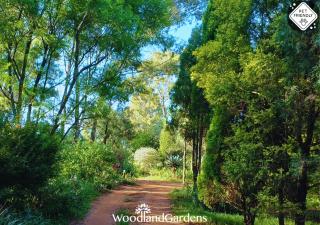 Woodland Gardens Self catering Pet Friendly Lodge - 2