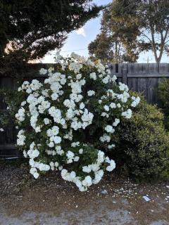 Deerstays- Entire home - 3