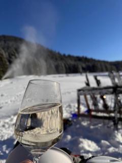 Lindners Hideaways - Bergnest Lodge - Bergblick Fewo 6 Pers Balkon Garten Hund Ski Unterkunft Luftkurort Oberreute nähe Buchenegger Wasserfälle Eistobel Bodensee - 9