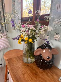 Orchard Shepherds Hut - 9