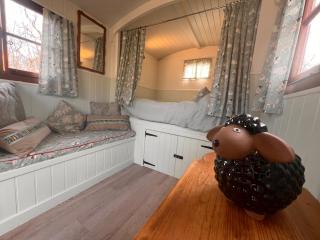 Orchard Shepherds Hut - 5