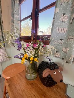 Orchard Shepherds Hut - 3