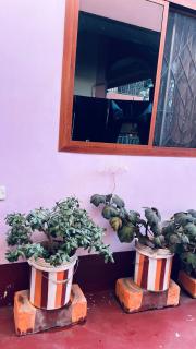 Osim Lodge City Centre - 7