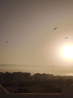 Surf Dream apartement - 2