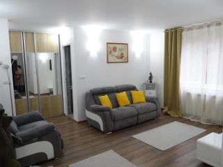 Apartament montan Cavnic Maramures - 2