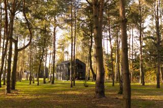 Jemioła Chaty Niedźwiady Małe - 2