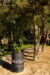 Jemioła Chaty Niedźwiady Małe - 1