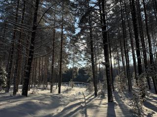 Siedlisko Żabickie - 9