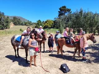 Polderland Private Campsite - Next to Cottage - 3