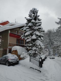 Willa M cisza w centrum miasta - 3