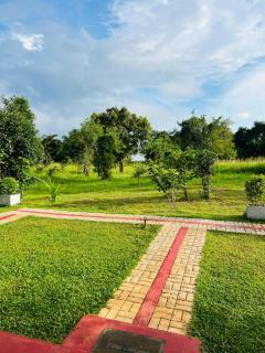 Flora Lake View Resort Wilpattu - 6