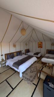 Desert Halo Camp - 7