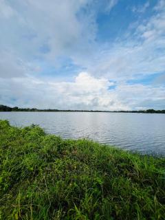 Flora Lake View Resort Wilpattu - 3