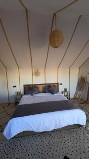 Desert Halo Camp - 5