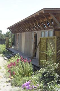 Surfing en Playa Las Salinas-Papudo - 6