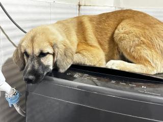 The Pineview Summit Cozy Deluxe Stay - 3