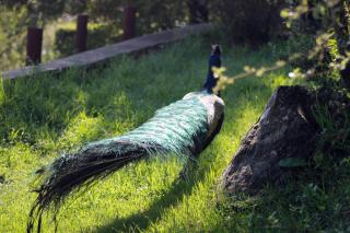 Monokotsoaing Guest House - 1