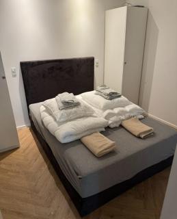 New Vacation House - Luxury close to Silkeborg and Herning - 4