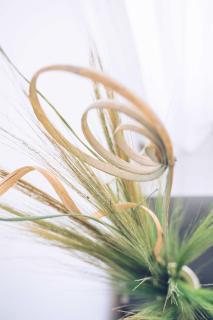 Stylish One-Bedroom Apartment in Prime Central Location - 3