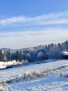 Wśród Gór - Istebna - 5